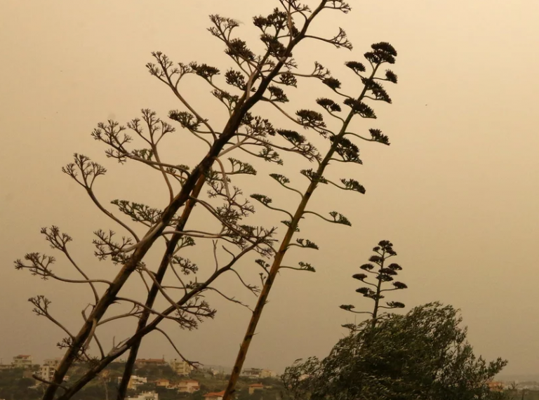 Τέλος στο «μίνι καλοκαίρι» του χειμώνα: Η La Nina επηρεάζει τις Αλκυονίδες ημέρες