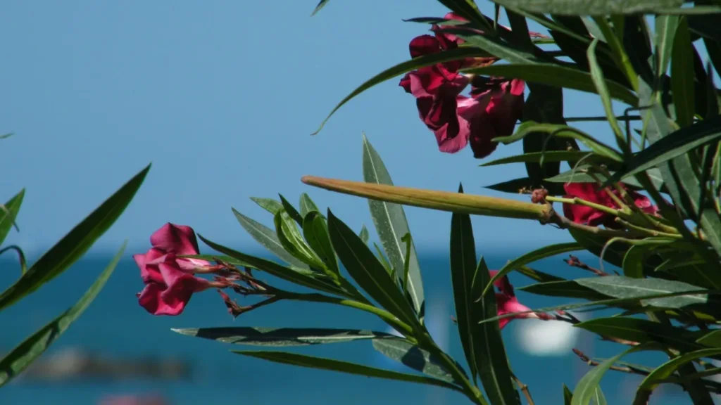 05790814-simonetta-sambiase-xhsc6d4dp20-unsplash