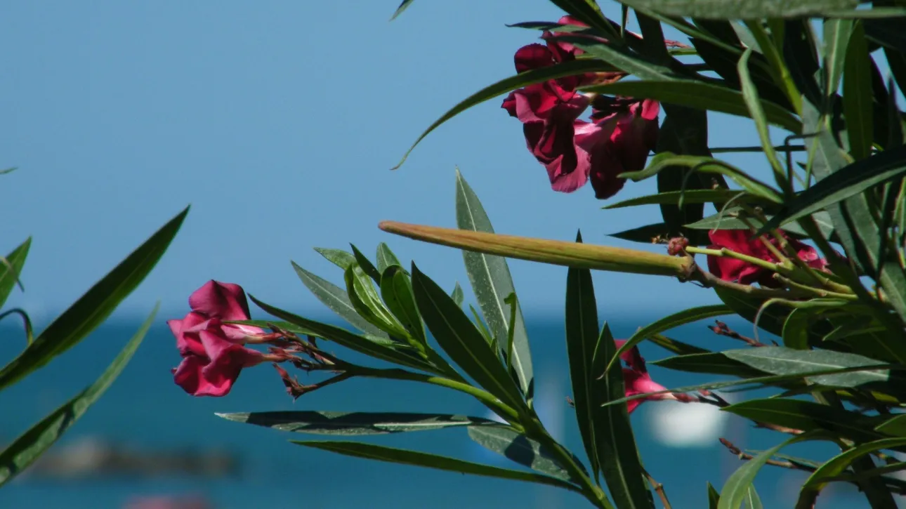 05790814-simonetta-sambiase-xhsc6d4dp20-unsplash