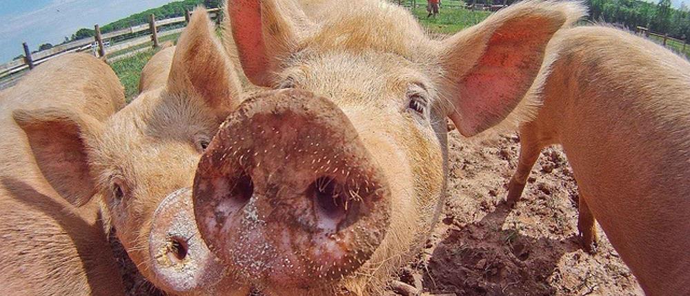 1000_2a7160d1-f6ca-46e9-8f37-15e6c648fe67