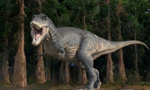 Ανακαλύφθηκε ο μεγαλύτερος πρόγονος του τυραννόσαυρου Ρεξ στη Βόρεια Αμερική – Ήταν 74 εκατ. ετών