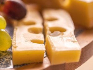 Ο ρόλος των λιπαρών τυριών στην υγεία του εγκεφάλου Ο ρόλος των λιπαρών τυριών στην υγεία του εγκεφάλου