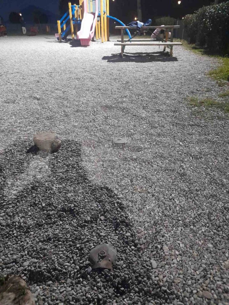 photo_2026-03-07_19-48-39