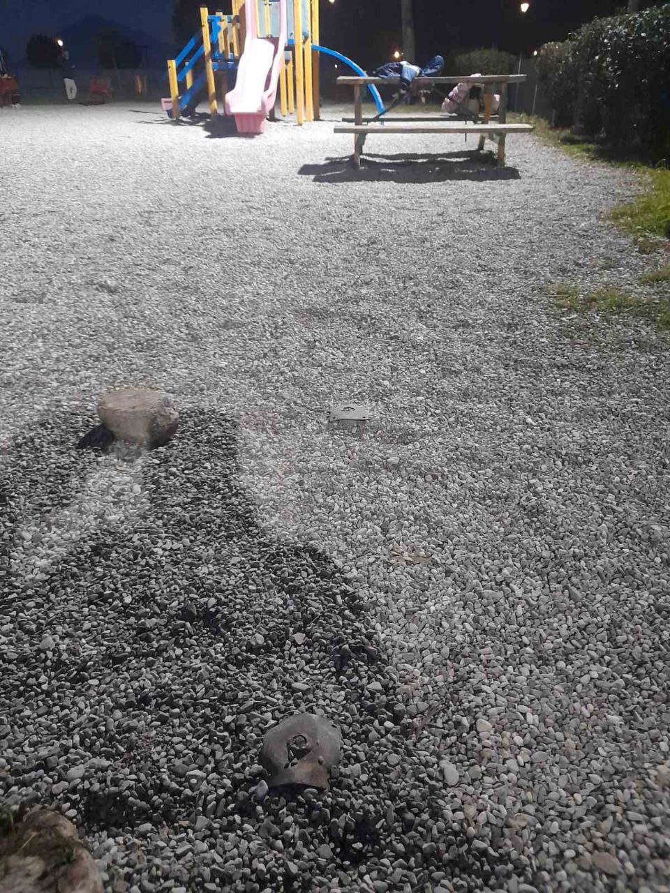 photo_2026-03-07_19-48-39