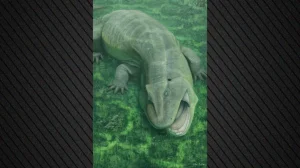 Ανακαλύφθηκε παράξενο προϊστορικό ζώο με στριμμένη γνάθο και δόντια που κοιτούσαν στο πλάι που ζούσε πριν από 275 εκατ. χρόνια Ανακαλύφθηκε παράξενο προϊστορικό ζώο με στριμμένη γνάθο και δόντια που κοιτούσαν στο πλάι που ζούσε πριν από 275 εκατ. χρόνια