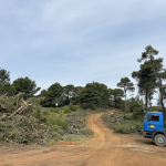 Πόρισμα του Δασαρχείου Πατρών: Παράνομη εκχέρσωση του δάσους στην Άνω Ζήρια για την εγκατάσταση της ανεμογεννήτριας Πόρισμα του Δασαρχείου Πατρών: Παράνομη εκχέρσωση του δάσους στην Άνω Ζήρια για την εγκατάσταση της ανεμογεννήτριας